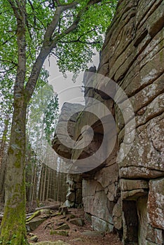 Here we see one of the high granite cliffs, close to the town of Brocken, Harz national park