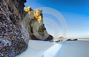 Arcadia Beach Oregon Coast