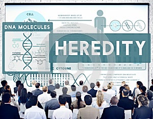 Heredity Biology Chromosome Molecular Science Concept