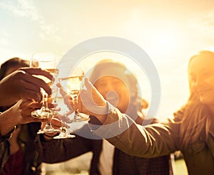 Heres to friendship. Shot of a group of young friends having fun at a picnic.