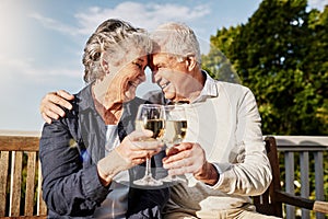 Heres to many more happy days to come. a happy senior couple toasting with wine on a leisurely afternoon outside.