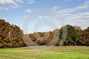 Herfst in Het Gooi, Het Gooi in autumn