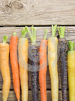 Heritage carrot varieties