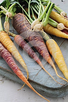 Heritage carrots and baby turnips