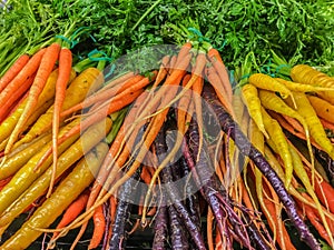 Heritage Carrots
