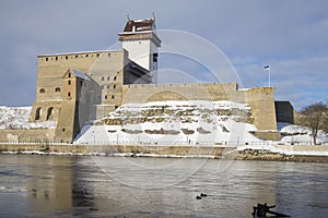 Herman Castle, cloudy March day. Narva, Estonia photo