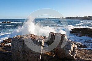 Hermanus