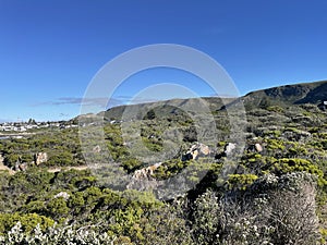 Hermanus Coastline Western Cape South Africa