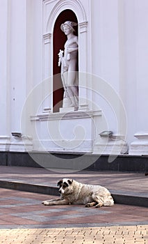 Hermes statue, Odessa