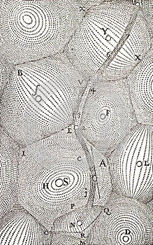 hermetic astrological illustration of the ether vortices of renate descartes