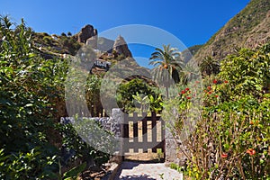 Hermigua valley in La Gomera island - Canary photo