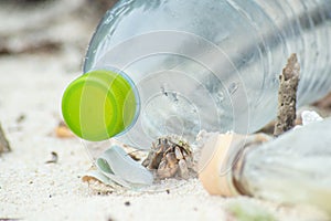 Hermit crab surviving at the polluted beach among plastic bottles and garbage at the tropical island