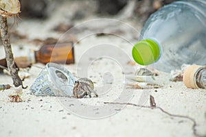 Hermit crabs living at the polluted beach among plastic bottles and rubbish at the tropical island