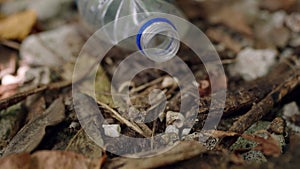 Hermit crabs scuttle around discarded plastic bottles, wildlife adaptability to pollution. Insects navigate rubbish on