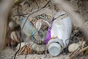 Hermit crabs surviving on the beach polluted with plastic bottles and garbage at the tropical island