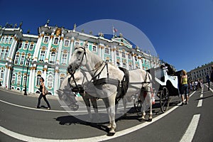 Hermitage/Winter Palace, St.Petersburg, Russia