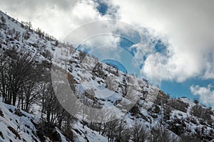 Hermon Mountain. Snow slope. Israel