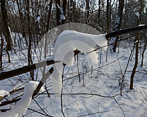 Heroes of winter fairy tales in the forest