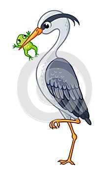 The heron in a beak holds a frog.