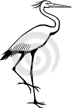 Heron Bird