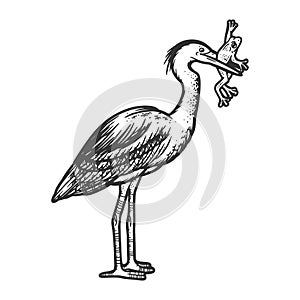 heron bird with frog line art sketch vector photo