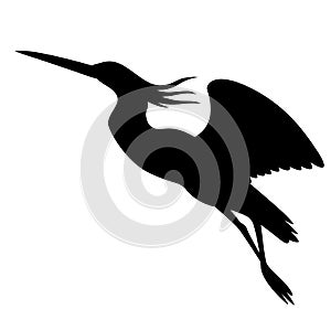 Heron in flight , vector illustration , black silhouette