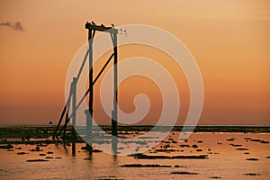 Heron Island`s Gantry at sunset