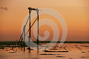 Heron Island`s Gantry at sunset photo