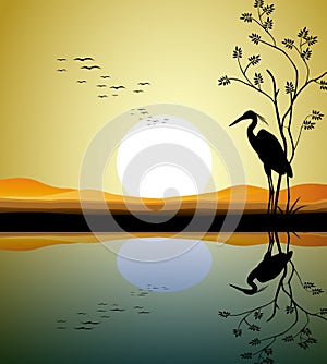 Heron silhouette on lake