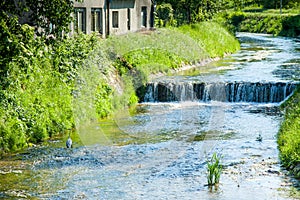 Heron standing in sunny day next to small waterfall stream