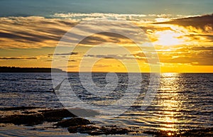 Heron stands in the shallow waters of the sea against the backdrop of a vibrant sky at sunset