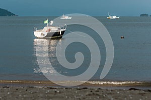 A heron on the top of a sailing boat, near the Jabaquara Beach, in Paraty, Brazil