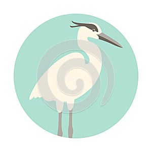 Heron vector illustration flat style