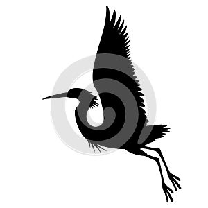 Heron vector illustration profile side black silhouette