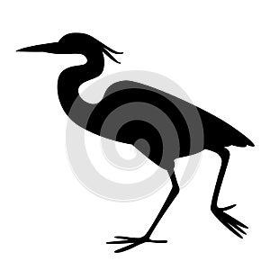 The heron walking ,vector illustration ,profile view