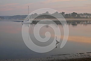 Heron in the waters of Buzzard Bay at sunrise. Beautiful early morning mood. Onset, Massachusetts, USA.
