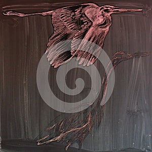 Herons - An hand drawn illustration (post processing) photo