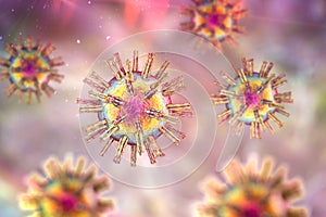 Herpes simplex virus 1 and 2 photo