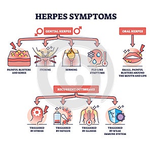 Herpes symptoms with genital, oral and recurrent outbreaks outline diagram photo