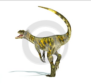 Herrerasaurus dinosaur, photorealistic representation. Dynamic v