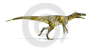 Herrerasaurus dinosaur, photorealistic representation. Side view