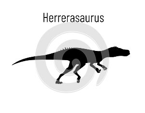 Herrerasaurus. Theropoda dinosaur. Monochrome vector illustration of silhouette of prehistoric creature herrerasaurus