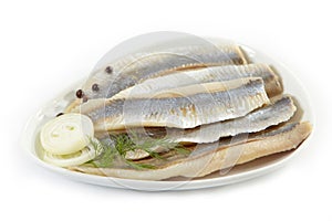 Herring