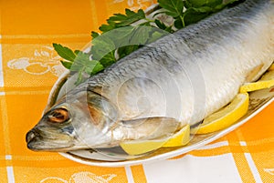 Herring