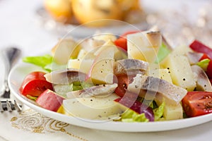 Herring-apple salad for christmas