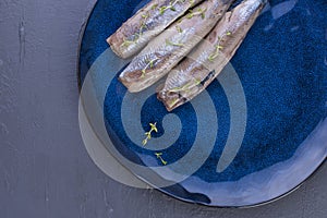 A herring fillet on a blue plate, a traditional Dutch delicacy. Delicious seafood meal. copy space. flat lay