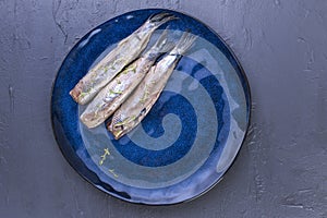 A herring fillet on a blue plate, a traditional Dutch delicacy. Delicious seafood meal. copy space. flat lay