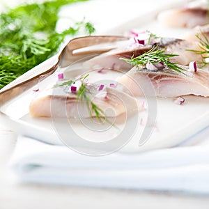 Herring fillets with dill and onion on a plate