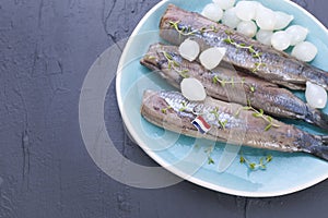 Herring fillets with onions on a blue plate, a traditional Dutch delicacy. Delicious seafood meal. Copy space. flat lay.