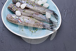 Herring fillets with onions on a blue plate, a traditional Dutch delicacy. Delicious seafood meal. Copy space. flat lay